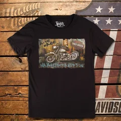 Harley Davidson, moto, bike, biker, мото, байк